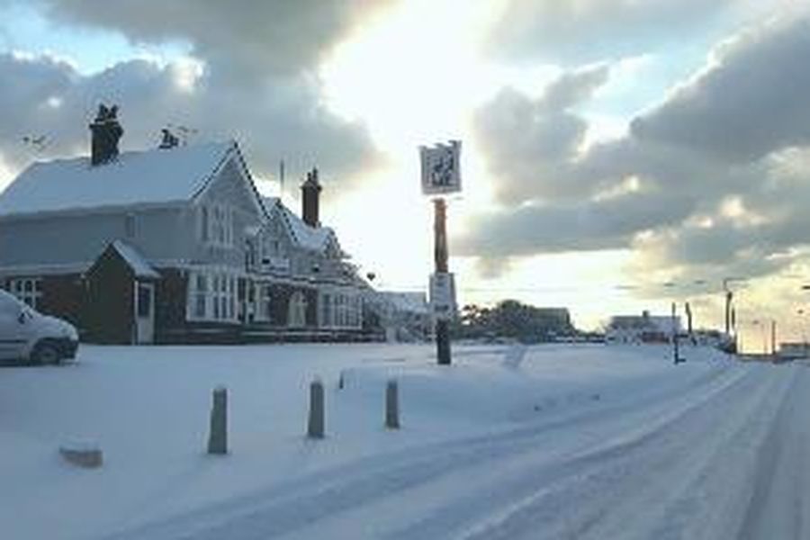photo-1