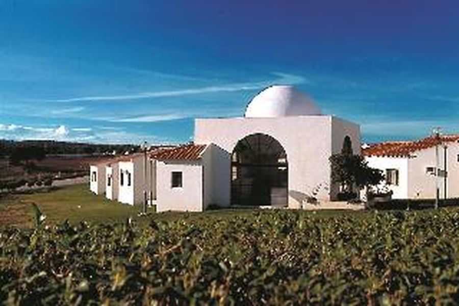 photo-3