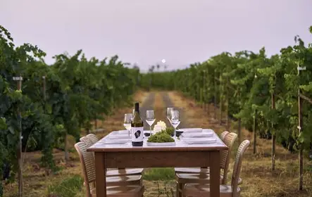 Degustação de vinhos Karpima em Kos