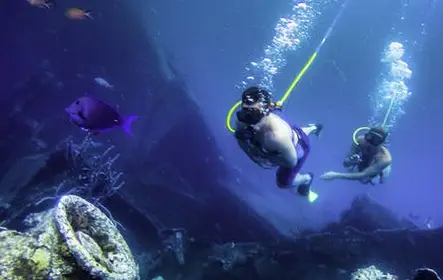 Aventura de snuba e snorkel em Aruba