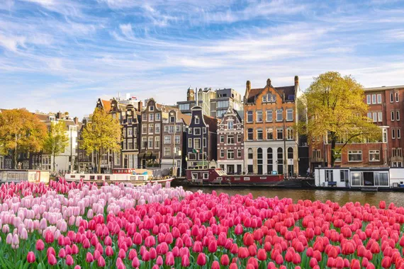 Flores de tulipa de primavera em Amsterdam