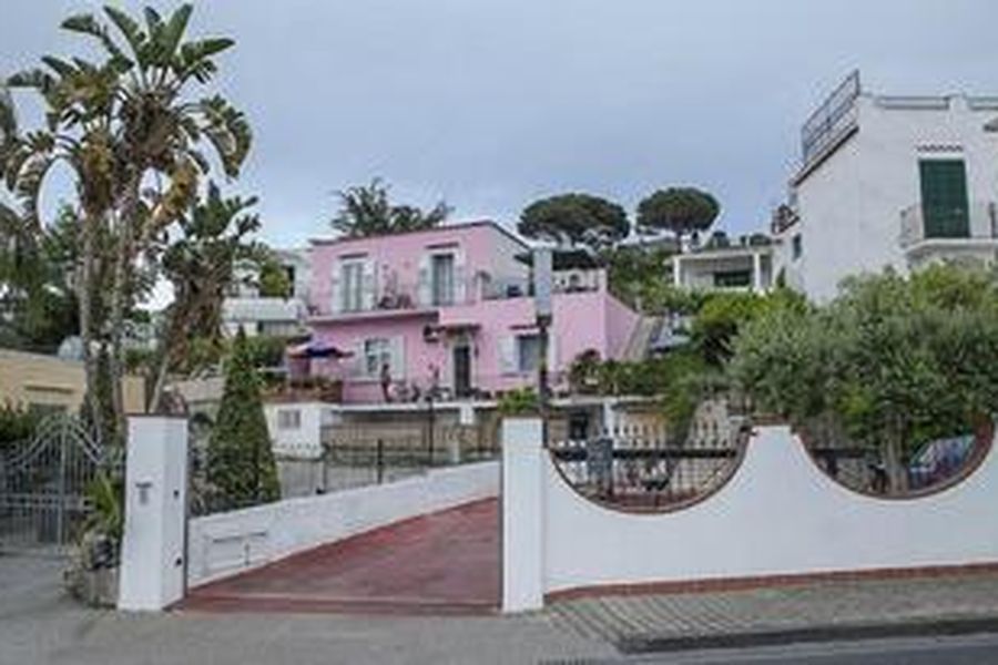 foto-2