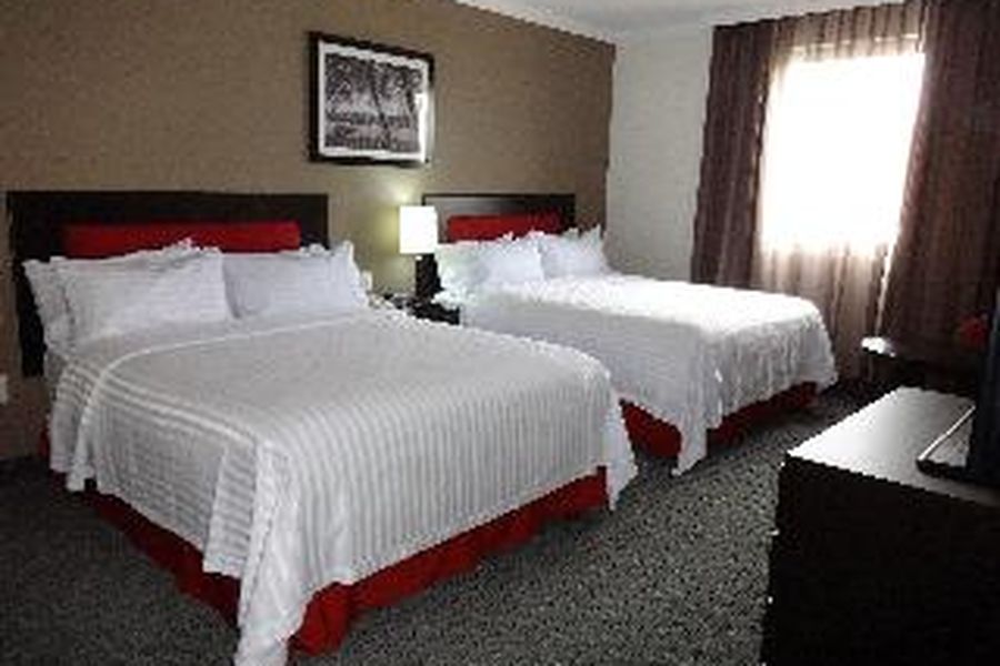 photo-3