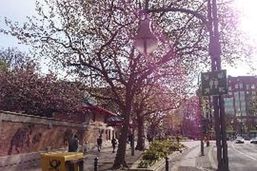 foto-2