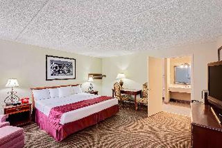 photo-1
