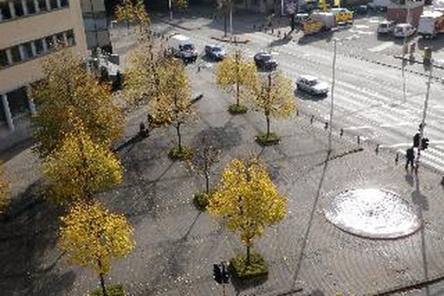 photo-2