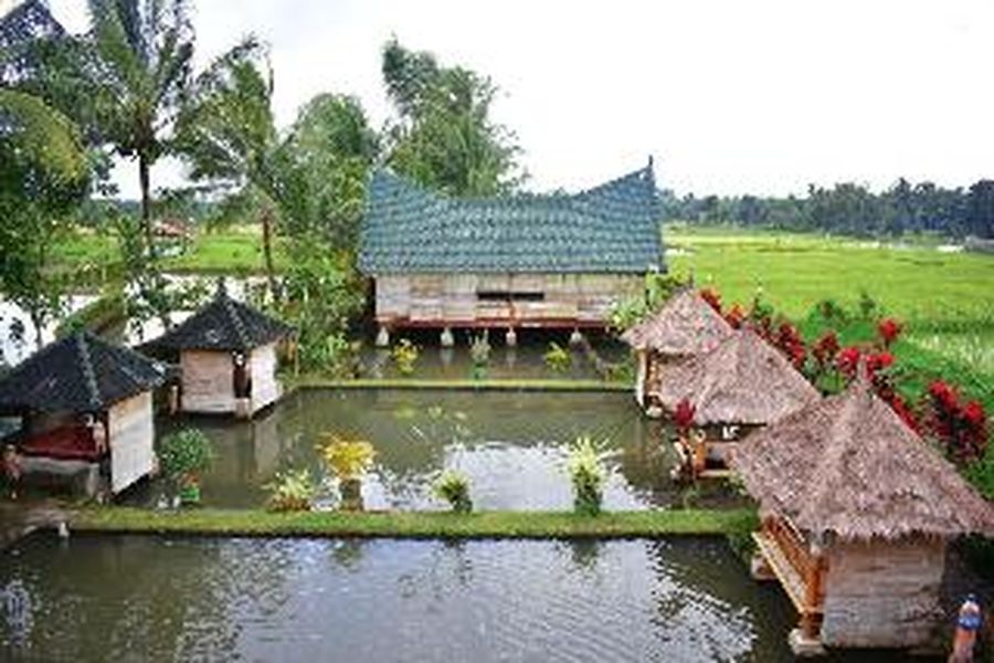 foto-3