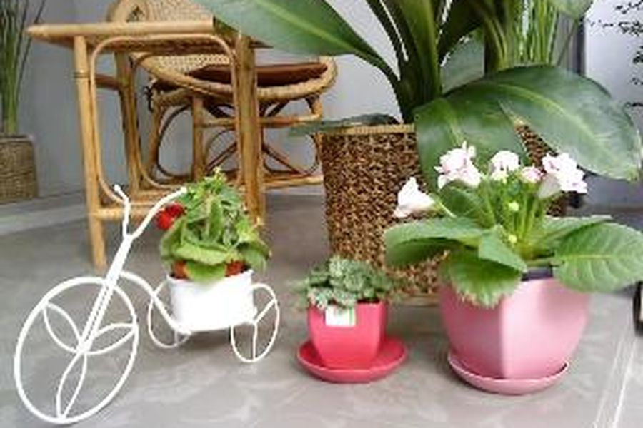 foto-2