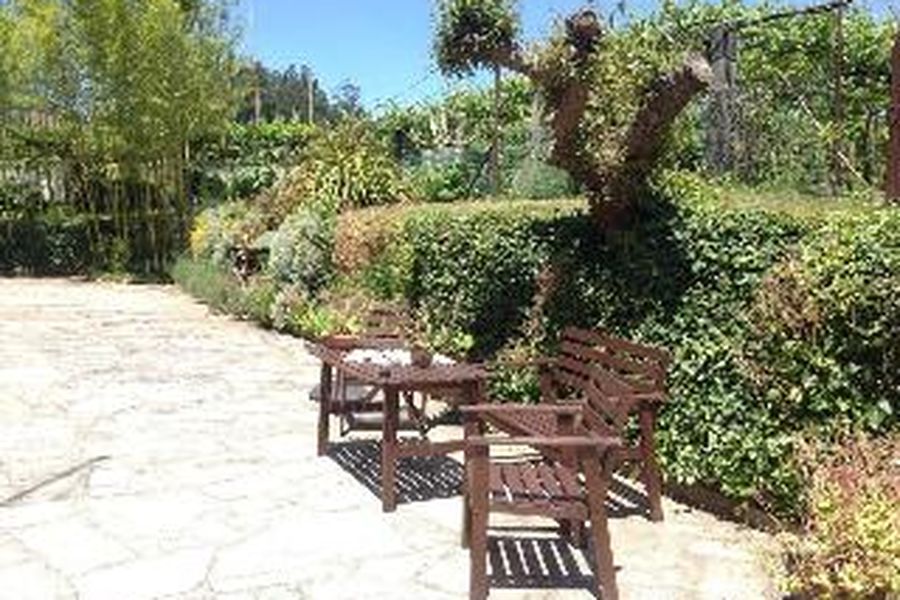 foto-3