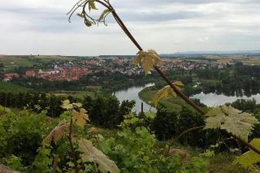 foto-1