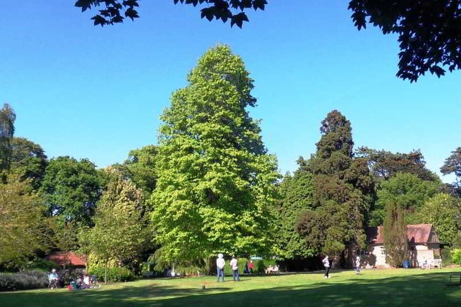 foto-2