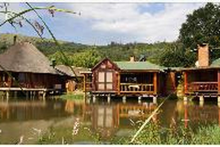 foto-1