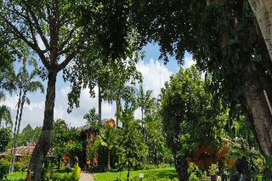 foto-3
