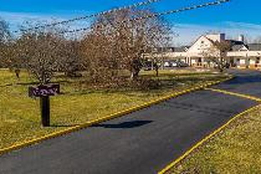 photo-1