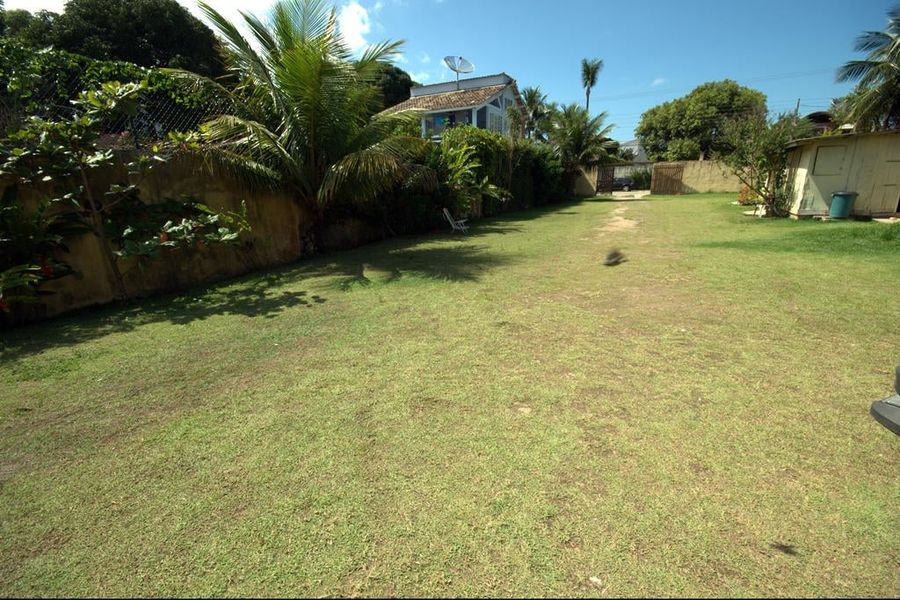 photo-1