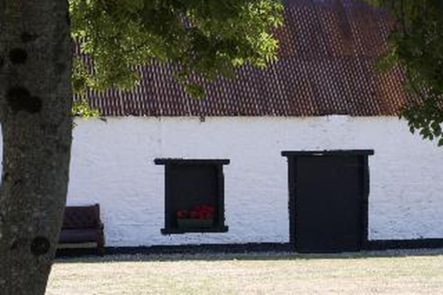 foto-2