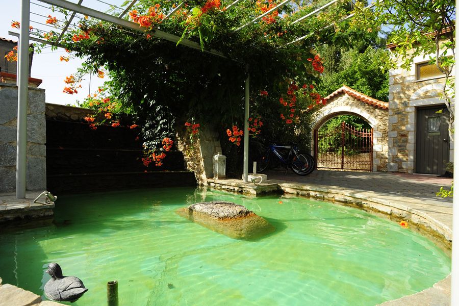 photo-3