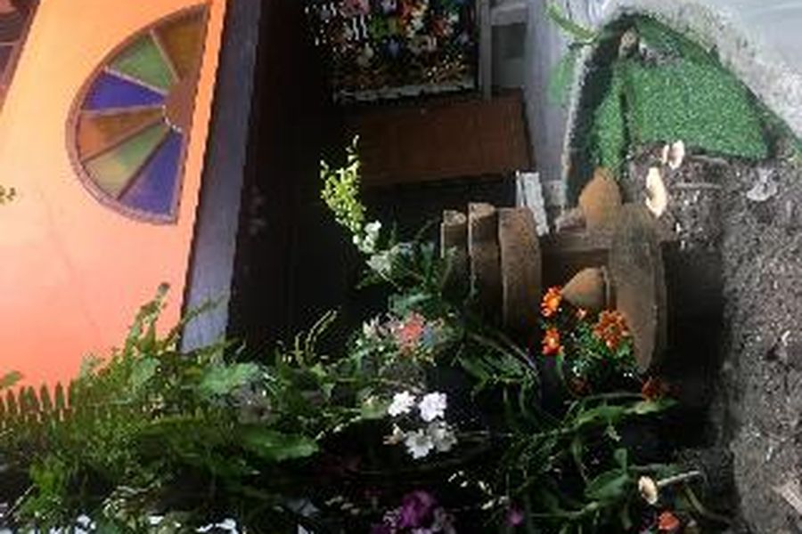 foto-1