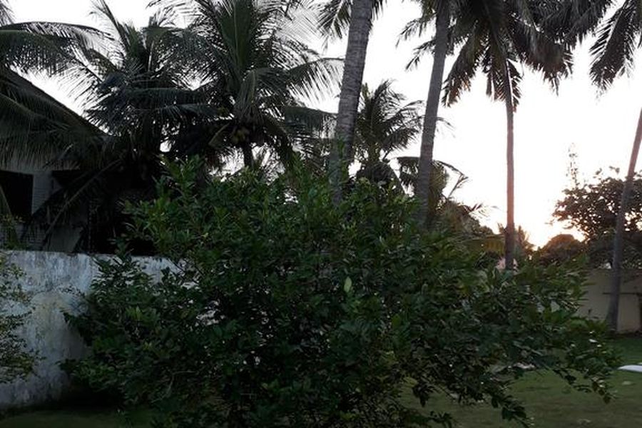 foto-3