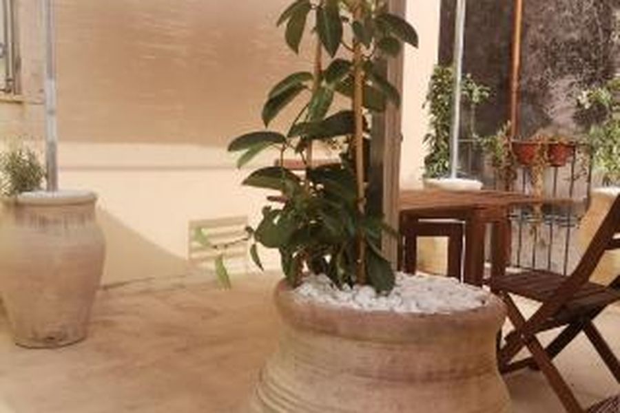 foto-3