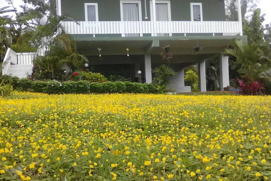 foto-2