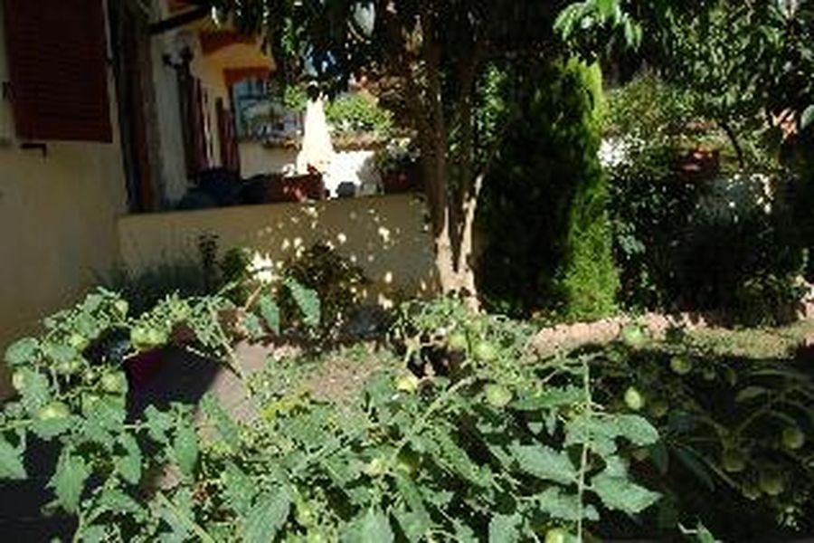 foto-2