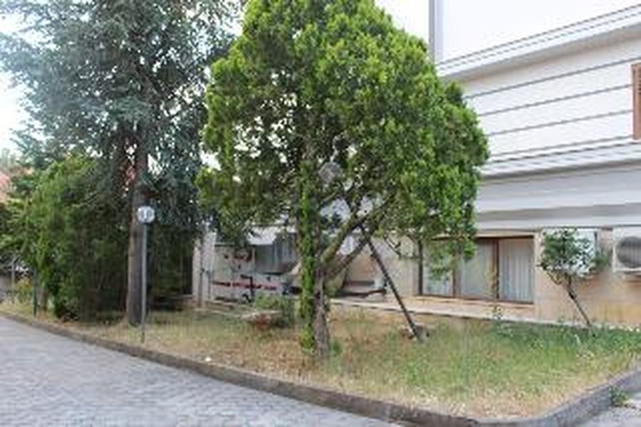 foto-1