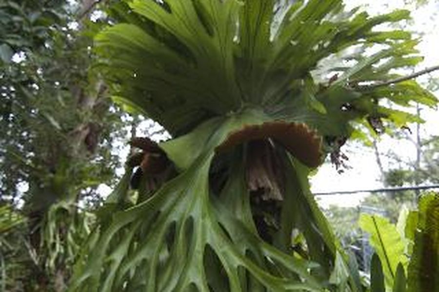 foto-2