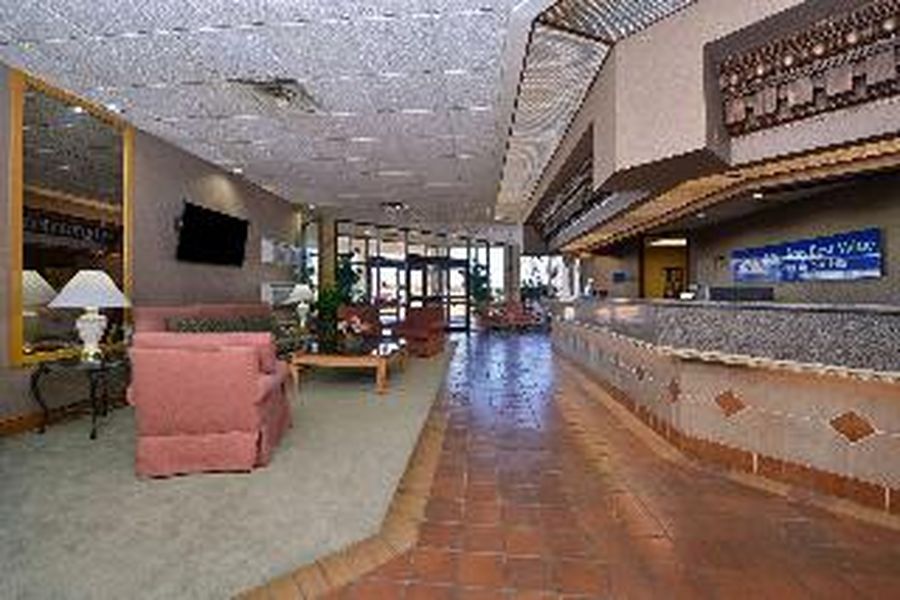 photo-1
