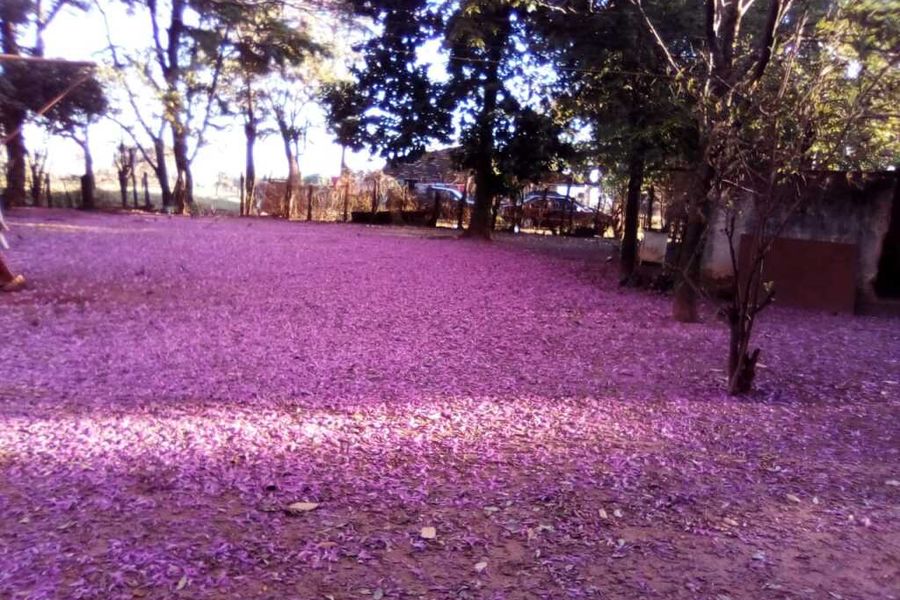 foto-3