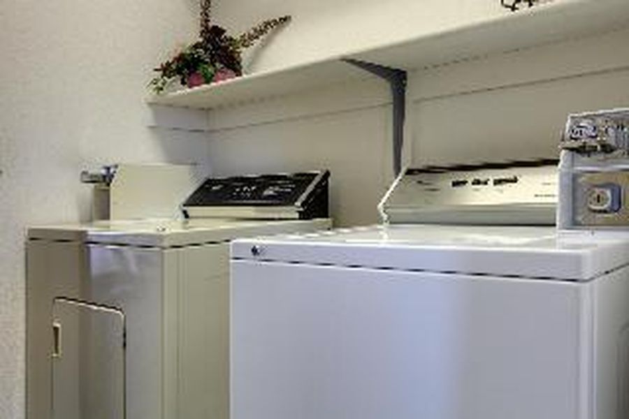 photo-3