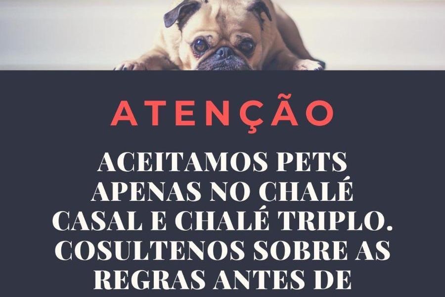 foto-3
