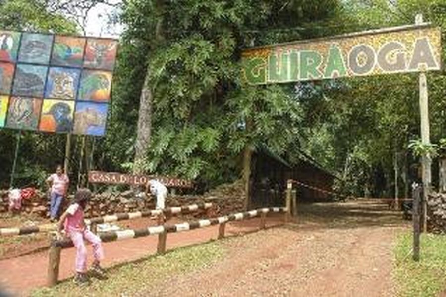 foto-3