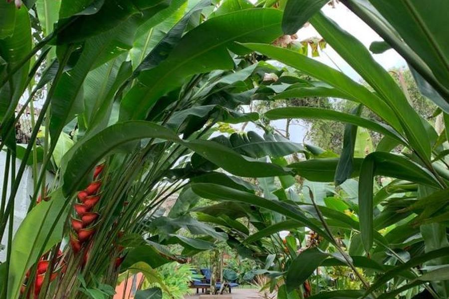 photo-3
