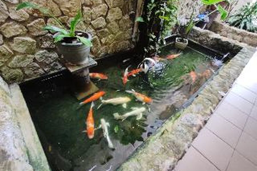photo-2