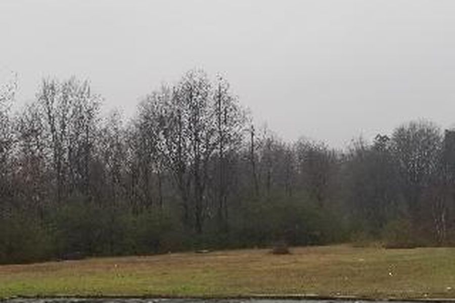 foto-2