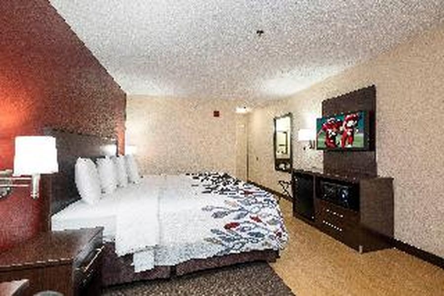 photo-1
