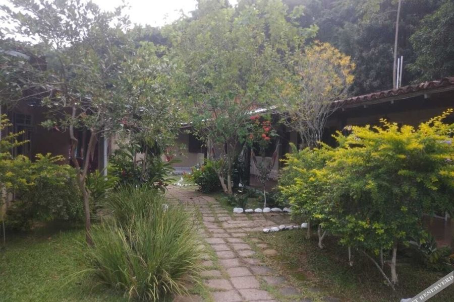 foto-1