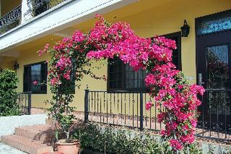 foto-3