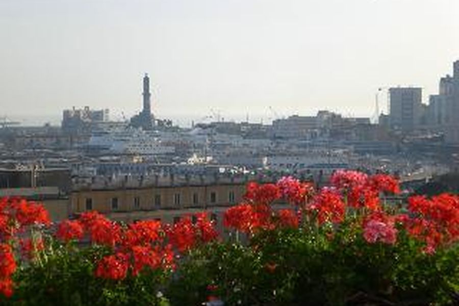 foto-1