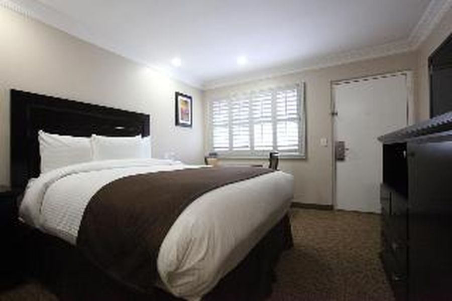 photo-1