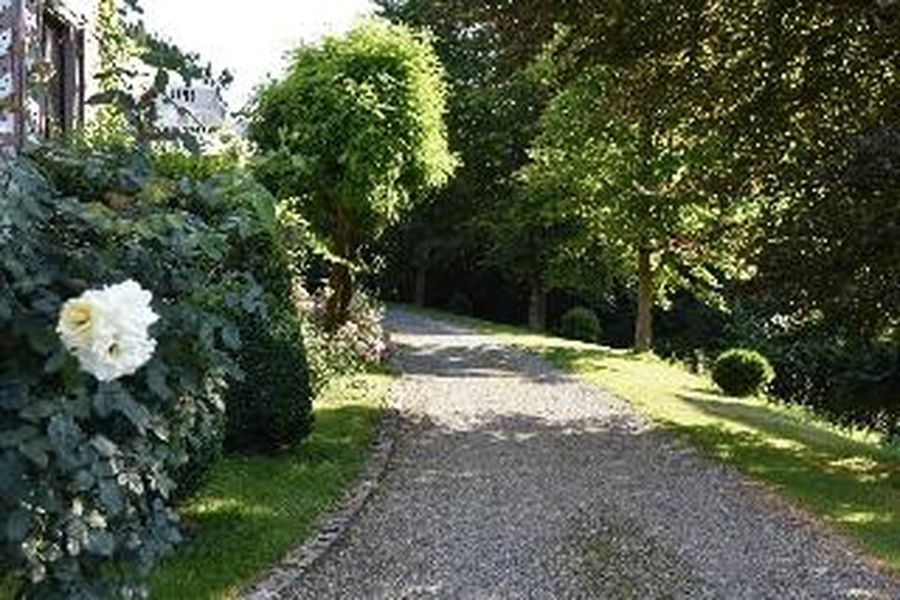 photo-1
