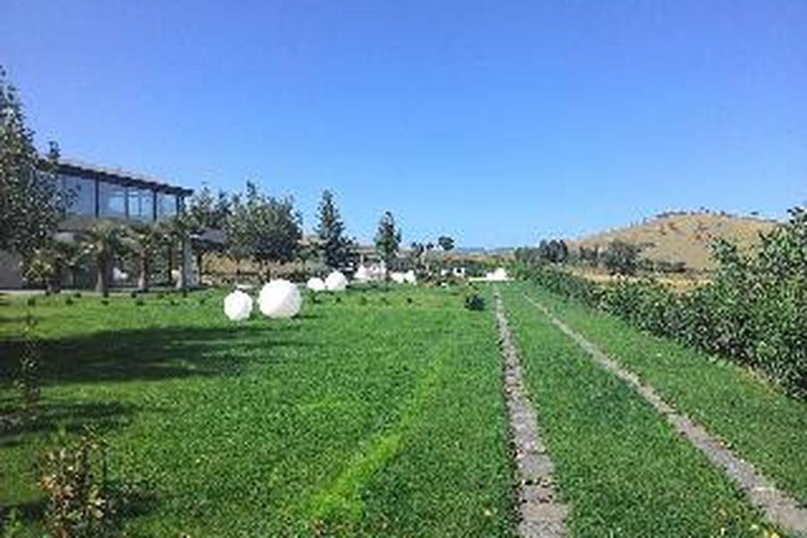 photo-2
