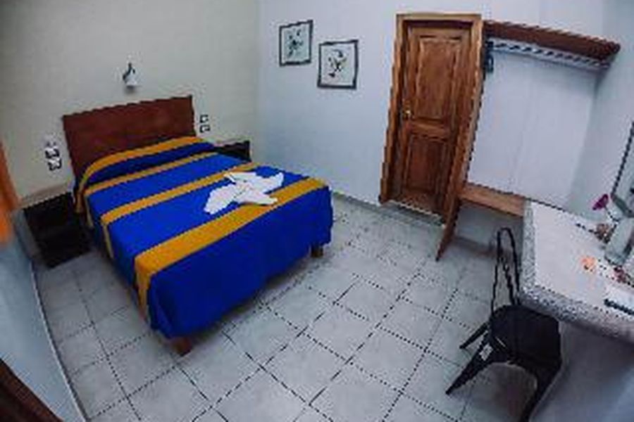 photo-0