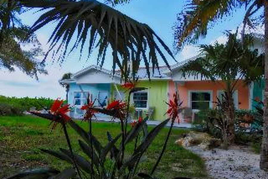 photo-3