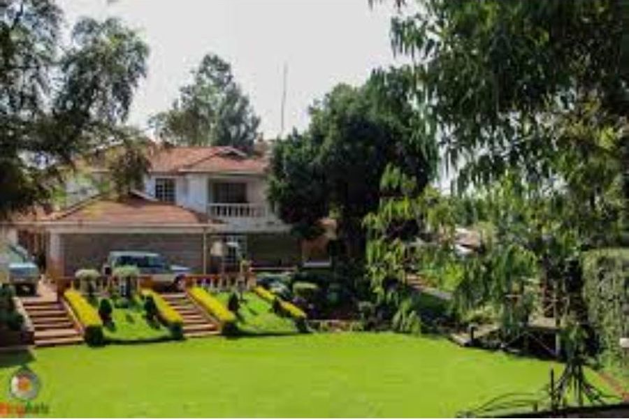 foto-1