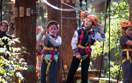 Treetops Adventure Belgrave: Ingresso