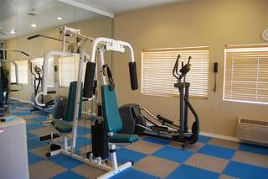 photo-1