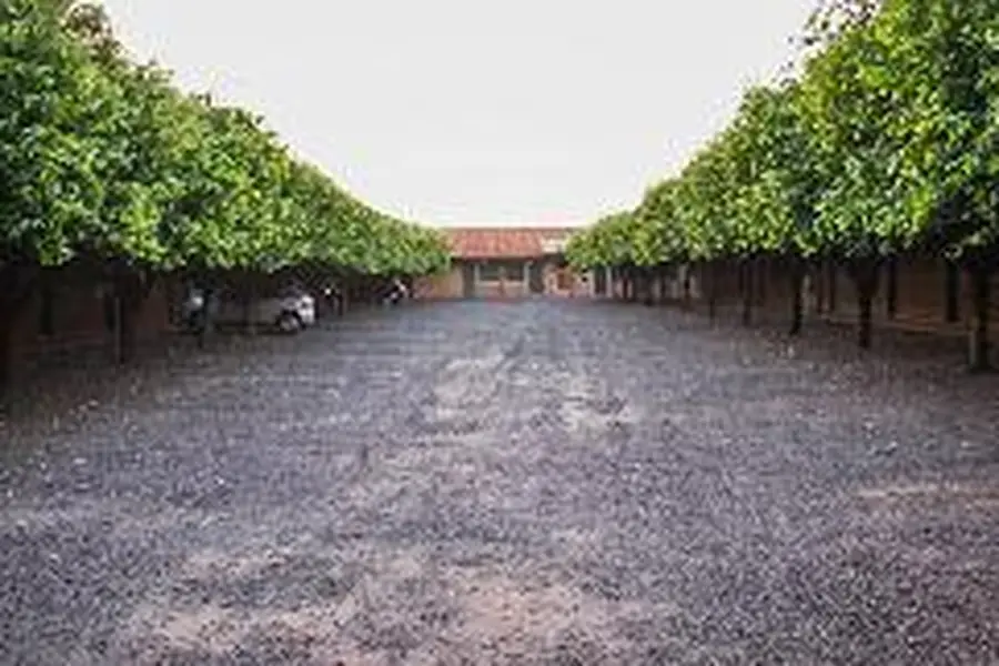 foto-3