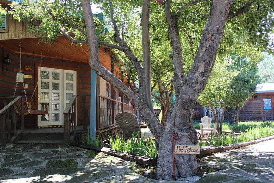 foto-1